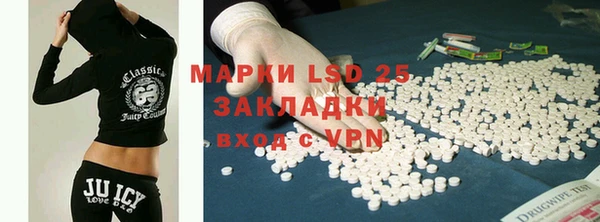 гидропоника Алзамай
