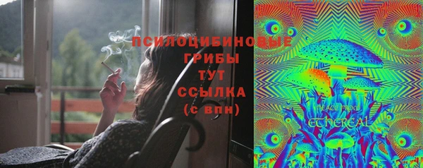 ГАЛЛЮЦИНОГЕННЫЕ ГРИБЫ Абинск