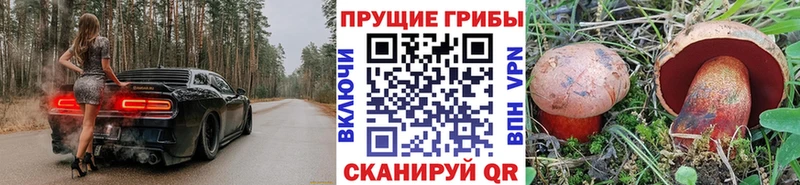 Галлюциногенные грибы GOLDEN TEACHER дарк нет официальный сайт mega ONION Касимов где найти