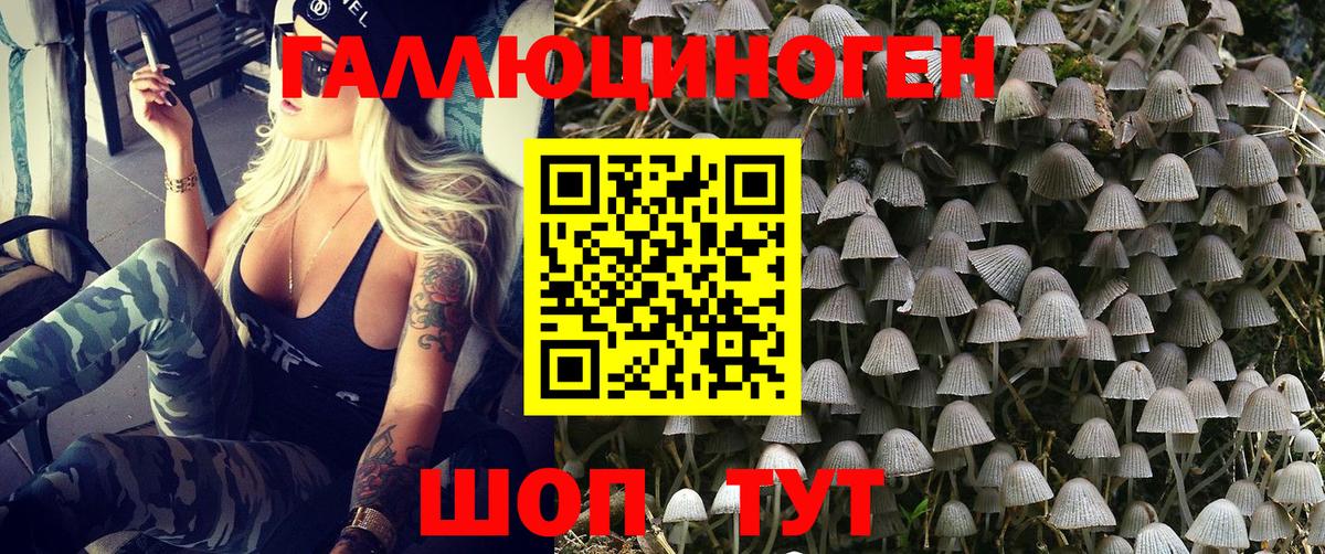 Галлюциногенные грибы Psilocybine cubensis  Вход с VPN  Касимов 